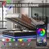 Tufted Upholstered Platform Bed with Hydraulic Storage System,Queen Size PU Storage Bed with LED Lights and USB charger, Black